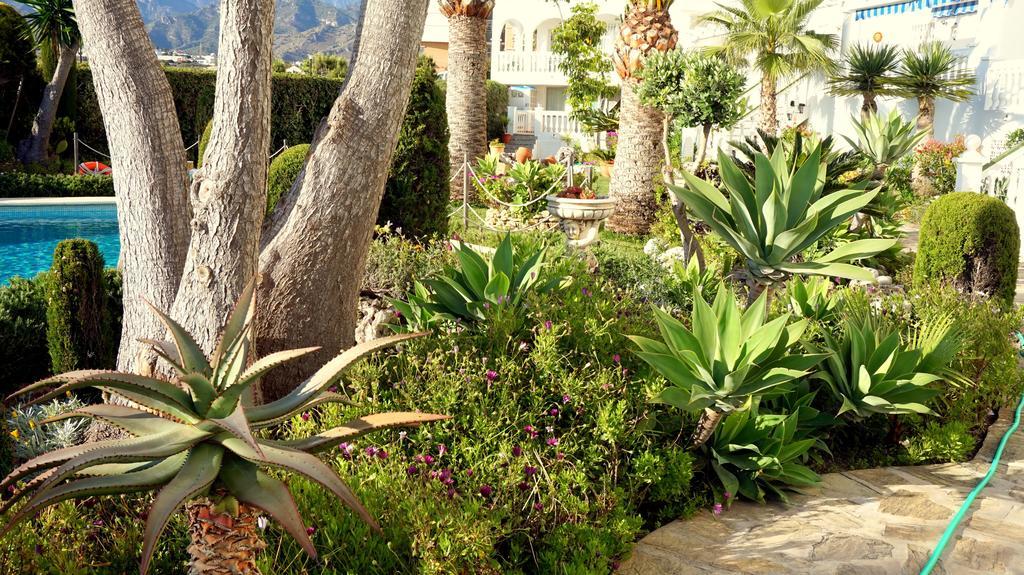 Apartamentos Starnerja En Stella Maris Zimmer foto